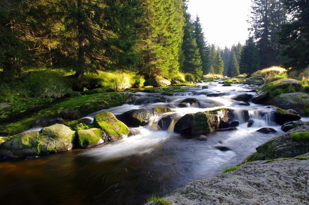 Chalupa Na Peci Želnava Pokój zdjęcie